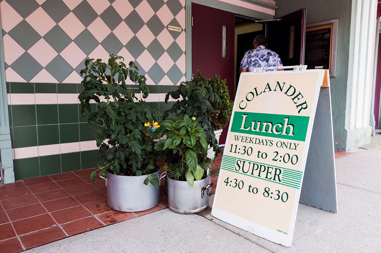 Colander Open for Lunch Colander Open for Lunch